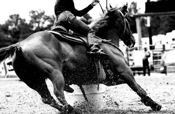 Cowboy Movies