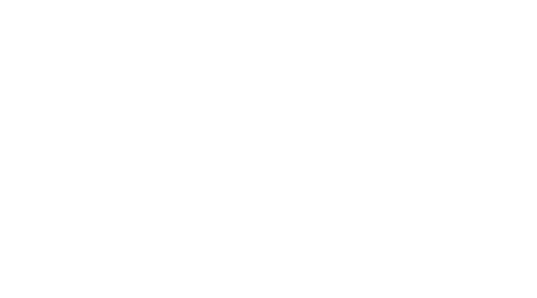Beyond the Bayou Logo