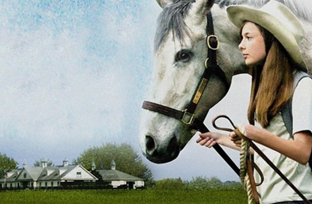 All Roads Lead Home | Pure Flix