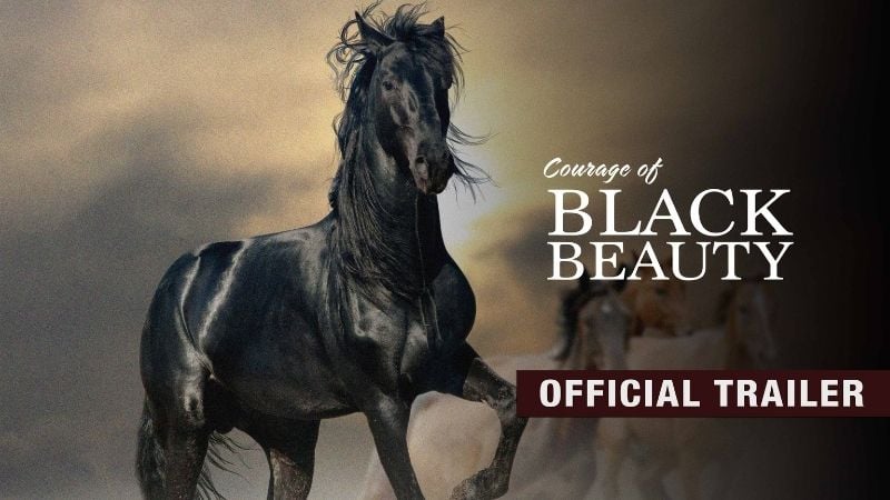 Courage of Black Beauty Pure Flix