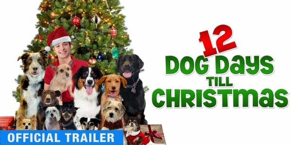 DOG DAYS  Official Trailer 