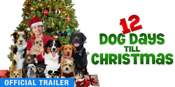 12 Dog Days Till Christmas