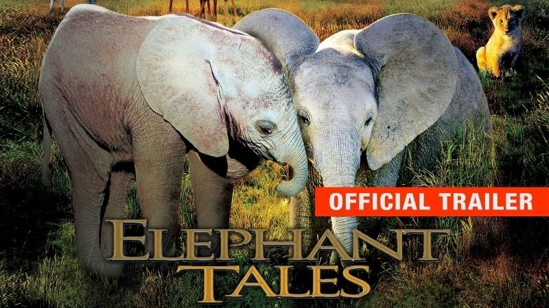 Elephant Tales