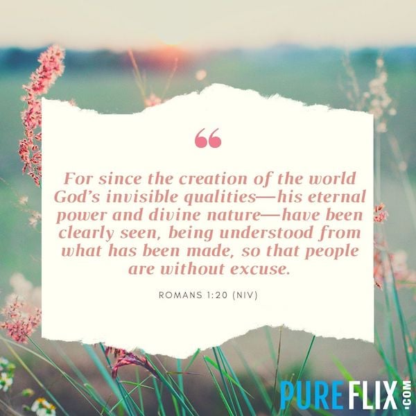 Romans 1:20 | Pure Flix