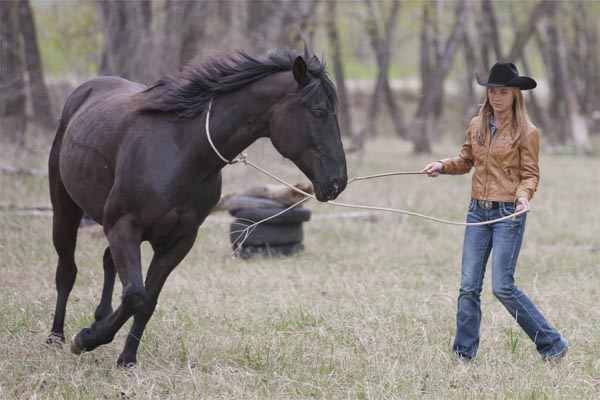 Amber Marshall has been around horses from a very young age. | Pure Flix