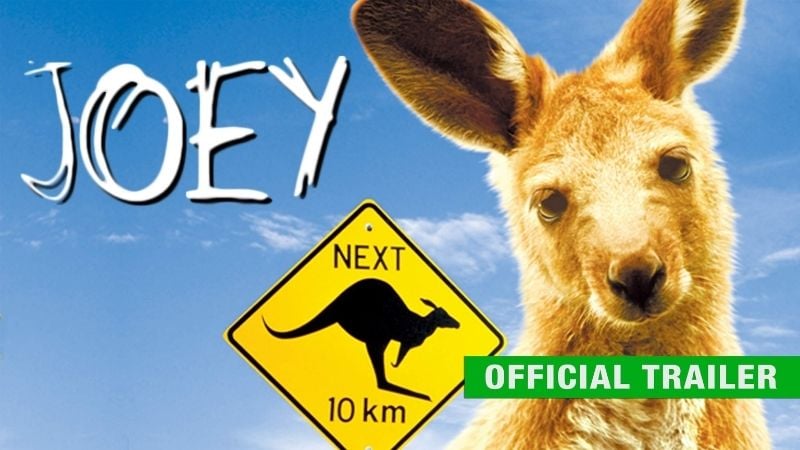 Joey