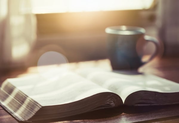 lesson-ephesians-4-600px-412px