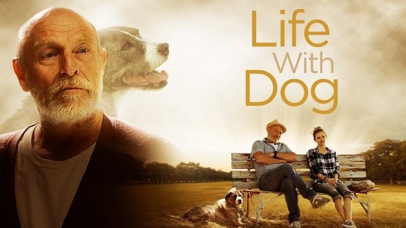 Corbin Bernsen Films
