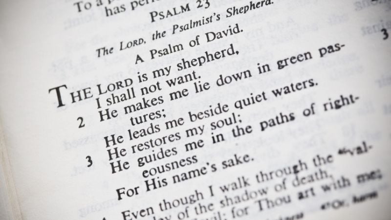 Psalm 23 Pure Flix