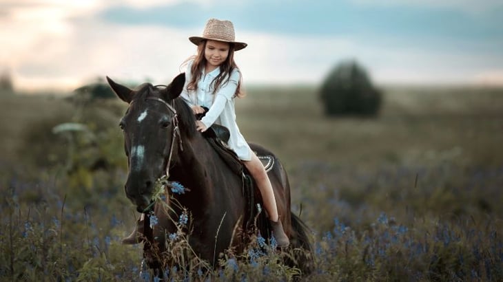 Horses often develop close relationships with their riders and caretakers pure flix