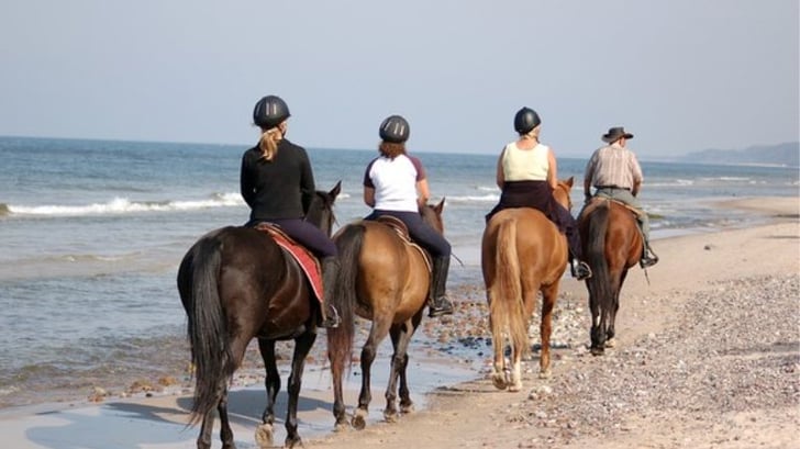 six movies for horse lovers pure flix blog 800px 450px