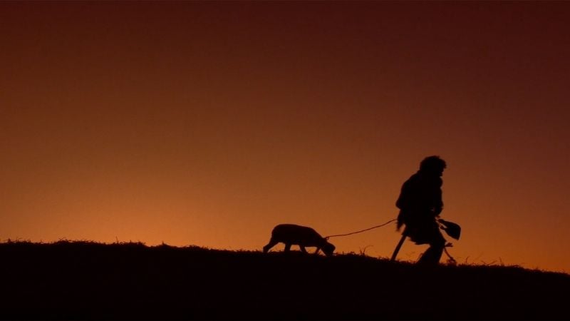 the-chosen-the-shepherd-christmas-countdown-pure-flix-800px-450px