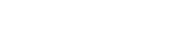 Birdie Logo