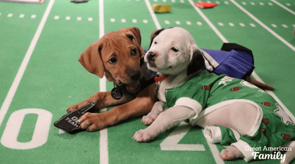 Screenshot 2026-02-02 at 4.21.22 PM