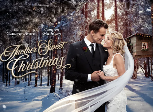 Screenshot 2026-03-12 at 12.23.50 PM