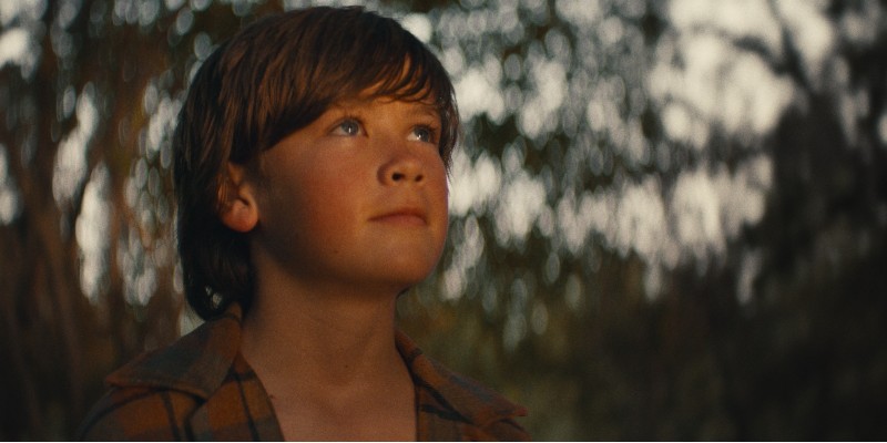 child-phil-in-woods-looking-up